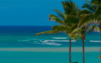 How to Invest in Aruba in 2023